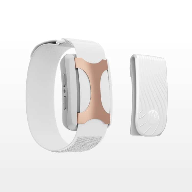 Apollo Wearable - Rose