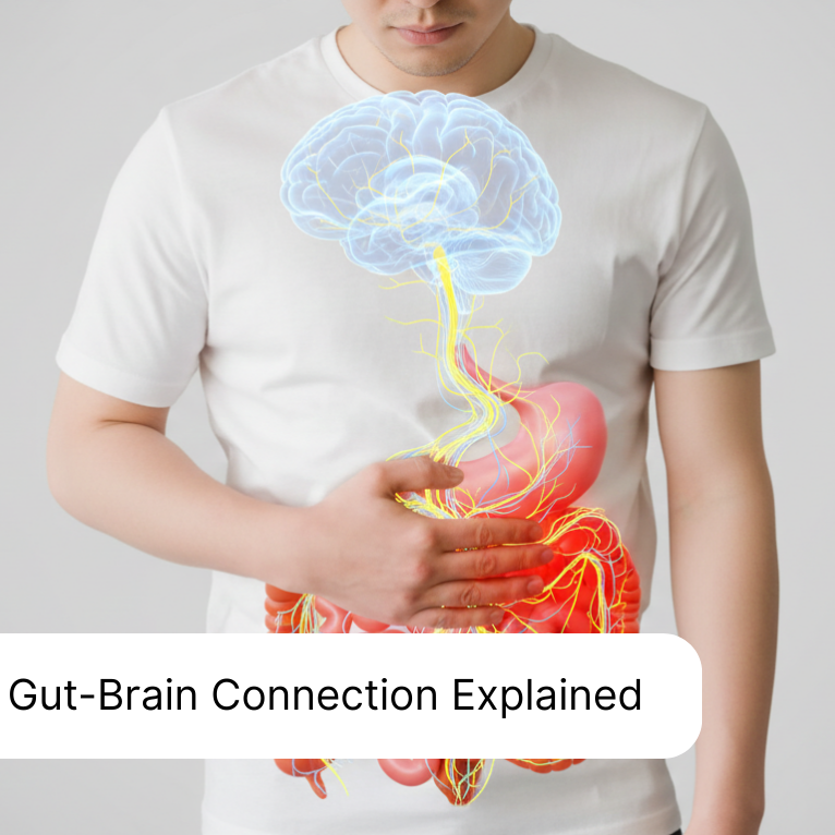 Gut-Brain Connection Explained