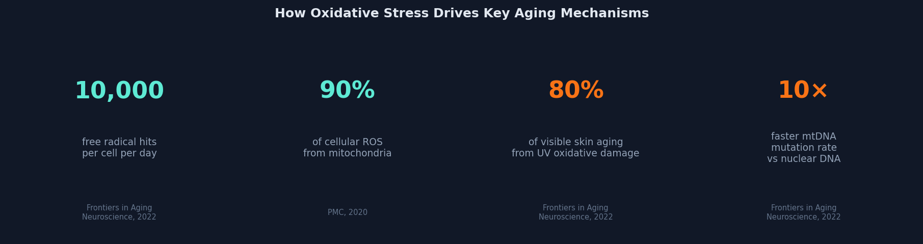 Oxidative stress key statistics: 10,000 free radical hits per cell daily, 90% of ROS from mitochondria, 80% of skin aging from UV, 10x faster mtDNA mutation rate